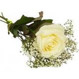 Grönt Snittblommor Blommor till begravning & kondoleanser Stretcher Bouquet Lång bukett