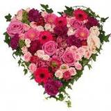 Gerbera Snittblommor Blommor till begravning & kondoleanser My Love Funeral Flower