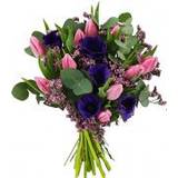 Blåa Snittblommor Blommor till begravning & kondoleanser Tulip Anemone Blandade blommor