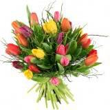 Blommor till begravning & kondoleanser Tulips in Abundance Buntar