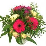 Lila Snittblommor Blommor till begravning & kondoleanser Phenomenal Blandade blommor