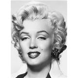 Ideal Decor Murals Marilyn Monroe (00412)