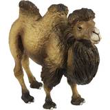Safari Bactrian Camel 290929