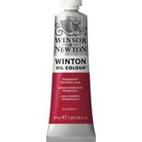Röda Oljefärg Winsor & Newton Winton Oil Color Permanent Crimson Lake 37ml