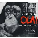 Schimpansen Ola: vem bryr sig om en apa? (Inbunden)