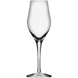 Champagneglas Orrefors Sense Champagneglas 25.5cl 6st