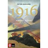 1916 Stridens skönhet och sorg: Första världskrigets tredje år i 106 korta kapitel (E-bok, 2015)