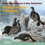 Fåglar vi hör i skogen: dygnet runt i skogen (Ljudbok, MP3, 2008)