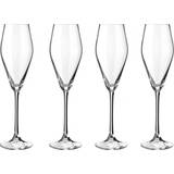 Le Creuset Glas Le Creuset Mousserande Champagneglas 29cl 4st