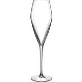 Glas Luigi Bormioli Prosecco Champagneglas 27cl 2st