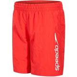 Speedo Byxor & Shorts Speedo Challenge 15" Shorts Jr