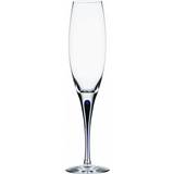 Munblåsta Champagneglas Orrefors Intermezzo Champagneglas 26cl