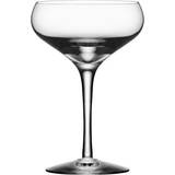 Champagneglas Orrefors More Coupe Champagneglas 21cl 4st
