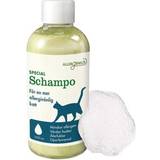Kattschampon Husdjur Allergenius Cat Specialschampo 0.25L