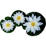 Pondteam Floating Water Lily (Set of 3)