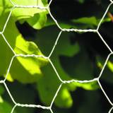Stål Hönsnätsstängsel NSH Nordic Hexagonal Wire Netting Fence 106-229 30cmx10m