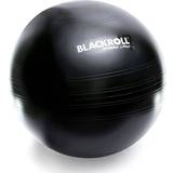 Gymboll 65 cm Blackroll Gymball 65cm