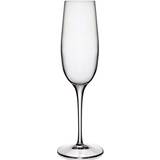 Utan handtag Champagneglas Luigi Bormioli Palace Champagneglas 23.5cl 6st