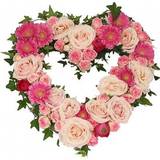 Solros Snittblommor Blommor till begravning & kondoleanser Missing Blandade blommor