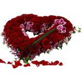 Snittblommor Blommor till begravning & kondoleanser My Beloved Flowers