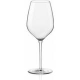 Exxent Glas Exxent InAlto Rödvinsglas, Vitvinsglas 43cl 24st