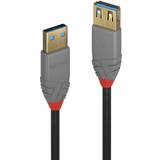 3.1 (gen.1) - USB A-USB A - USB-kabel Kablar Lindy Anthra Line USB A-USB A 3.1 Gen.1 M-F 0.5m
