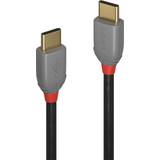 DisplayPort-DisplayPort - DisplayPort-kablar Lindy Anthra Line USB C-USB C 2.0 2m