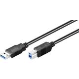 Wentronic Hane - Hane - USB-kabel Kablar Wentronic SuperSpeed USB A-USB B 3.0 1m