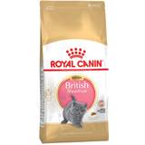 Royal canin kitten 10kg Royal Canin British Shorthair Kitten 10kg