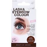 Depend Makeup Depend Perfect Eye Lash & Eyebrow Colour #4906 Dark Brown