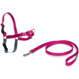 PetSafe Hundar - Hundhalsband & Selar Husdjur PetSafe Easy Walk Harness M