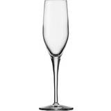 Stölzle Champagneglas Stölzle Exquisit Champagneglas 17.5cl