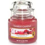 Yankee Candle Cranberry Ice Small Doftljus 104g