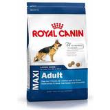 Royal Canin Hundar - Nötkött Husdjur Royal Canin Maxi Adult 4kg