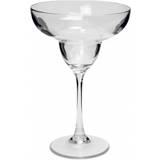 Exxent Cocktailglas Exxent - Cocktailglas 30cl