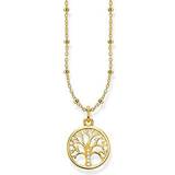 Guld Halsband Thomas Sabo Tree of Love Necklace - Gold/White