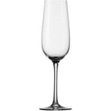 Stölzle Glas Stölzle Weinland Champagneglas 20cl