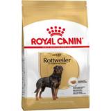 Hundar - vuxna Husdjur Royal Canin Rottweiler Adult 12kg