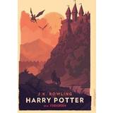 Harry potter och fenixorden bok Harry Potter och Fenixorden (Inbunden)