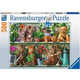 Klassiska pussel Ravensburger Cats on the Shelf 500 Pieces