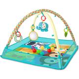Zebror Babygym Bright Starts More in One Ball Pit Fun