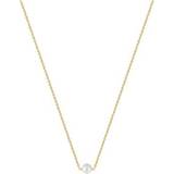 Sophie By Sophie Halsband Sophie By Sophie Pearl Necklace - Gold/Pearl