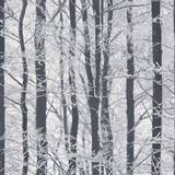 Arthouse Frosted Wood (670200)