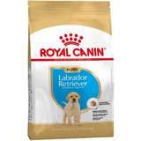 Royal Canin matsmältning Husdjur Royal Canin Labrador Retriever Puppy 12kg
