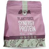 Bär Proteinpulver Third Wave Nutrition Synergy Protein - Berry 1 st
