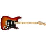 Fender player stratocaster Fender Player Stratocaster Plus Top