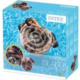 Djur - Hundar Utomhusleksaker Intex Pug Face Island