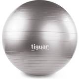 Träningsbollar Tiguar Gym Ball 65cm