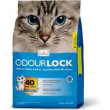 Dammfri - Katter - Kattsand Husdjur Intersand Odor Lock Unscented