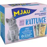 Mjau Katter Husdjur Mjau Multibox Kitten with Jelly Portion